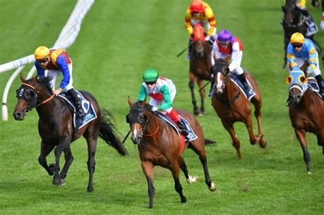 betting pro|bettingpro australia.